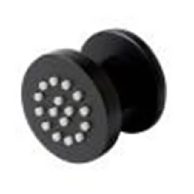 Alfi Trade Black Matte 2” Round Adjustable Shower Body Spray