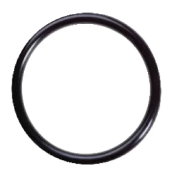 CAMPBELL 10800034 O-RING FOR 1P & 2P SERIES FILTER LEAD FREE