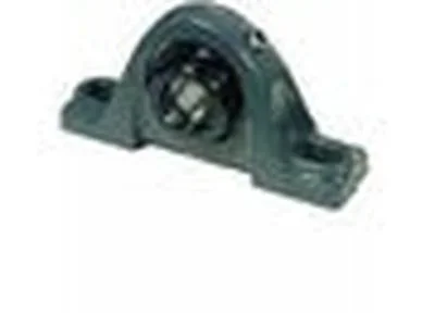 Dodge 131973 DOD P2B-SXV-100 Pillow Block
