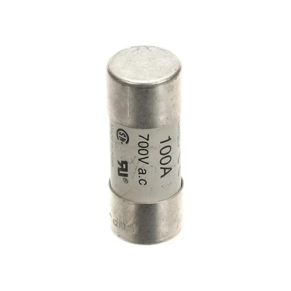FUSE 700V 100A 22X58 0CA148 for Electrolux ELX0CA148