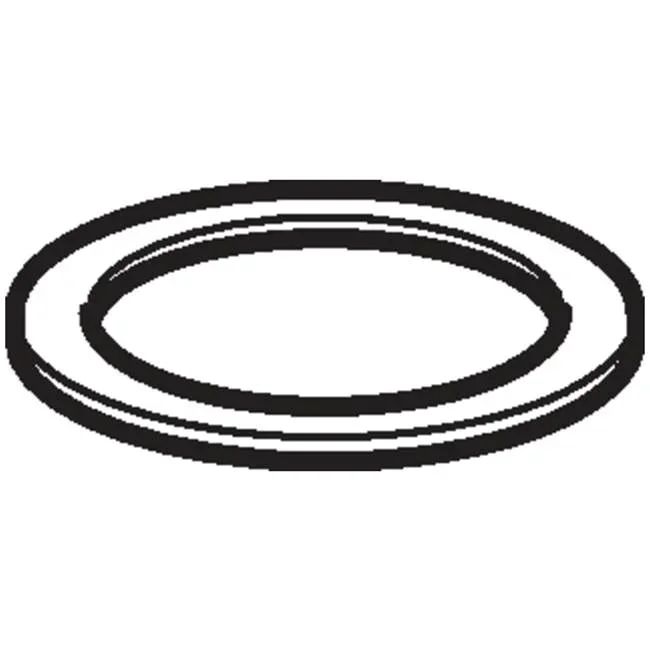 Geberit Geberit O-ring