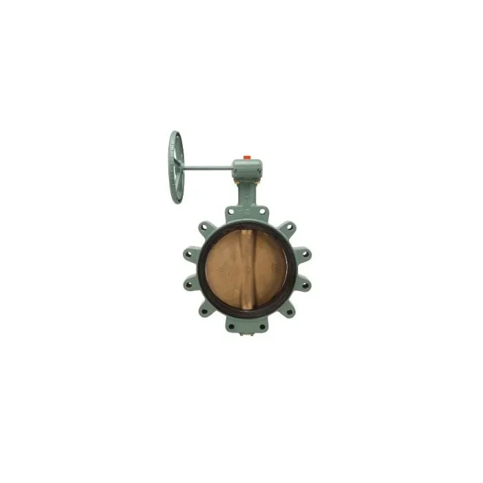 Kitz 6123EG-910 Butterfly Valve – 250 PSI – 10 in