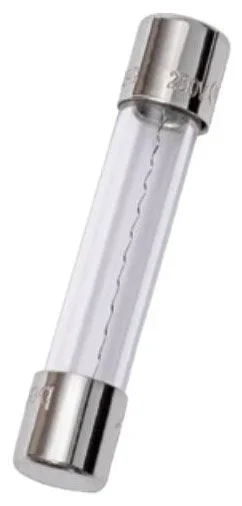 Mersen GGC2/10 FER Fast Acting Miniature Fuse 0.2 A 250 VAC