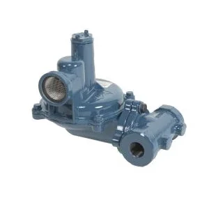 Norgas NGR02-DDA Gas Pressure Regulator 1-1/4 in. NPT