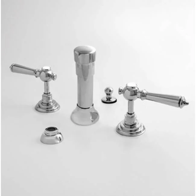 SIGMA Bidet Set Complete ASCOT POLISHED BRASS PVD .40