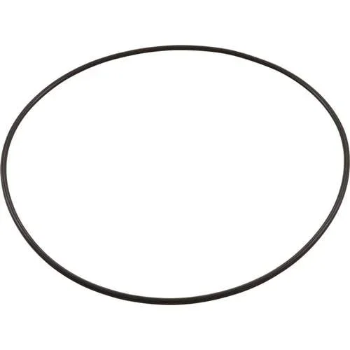 Zodiac Pool Systems 1-13-39 O-Ring Lg for Clear Lid Leaftrapper