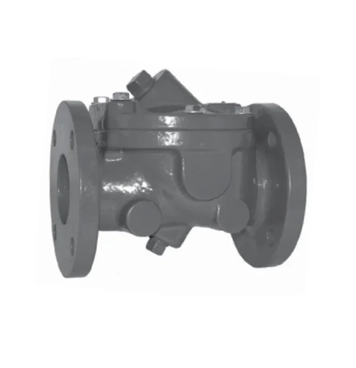 Iron Check Zoeller 6030-0203 4 in. Flanged Ductile Iron Check Valve